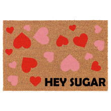 Coco Coir Doormat Red Pink Hearts 24 x 16 inches