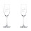 Champagnergläser mit Skorpion-Motiv, 2er-Set (237 ml) 1