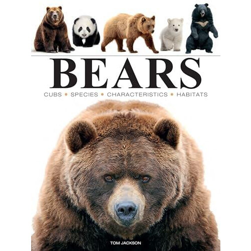 Bears by Tom Jackson Paperback Book