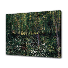 Erdő vászonposzter fákkal és aljnövényzettel 40x60 cm