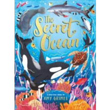 The Secret Ocean by Amy Grimes Hardcover Book