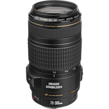 Canon EF 70-300mm f/4-5.6L IS USM Lens