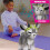 Just Play Daisy the Yoga Goat Interactive Toy 4