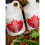 47Â North Canadian Organic Maple Syrup 9