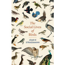 The Social Lives of Birds a mustread for bird and nature lovers by Joa