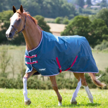 (4', Teal) Tempest Original Lite Horse Turnout Rug