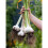 (3 PACK) 250g 3 PACK BUNDLE 4