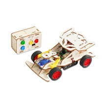 DIY-Holz-Ferngesteuertes Auto-Set, Allrad-Rennwagen, Wissenschaftsexperimentierkasten für Teenager u