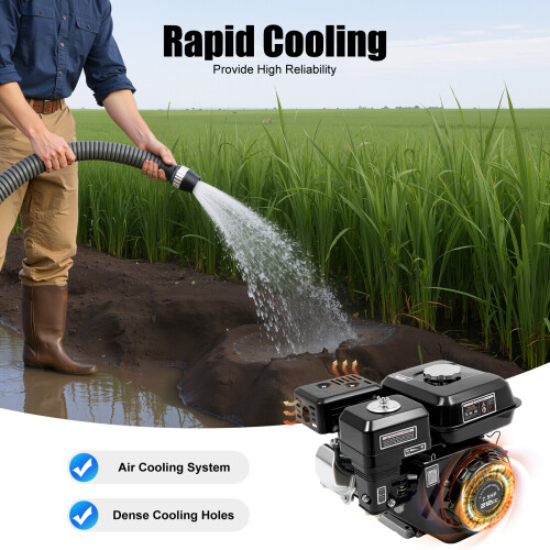 Gasoline Powered Engine 4-Stroke 7.5HP Multi-Use Engine 2