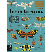 Insectarium by Dave Goulson Hardcover Book