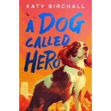 A Dog Called Hero by Katy Birchall Paperback Book