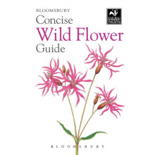 Concise Wild Flower Guide by Bloomsbury Paperback Book
