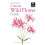 Concise Wild Flower Guide by Bloomsbury Paperback Book 1