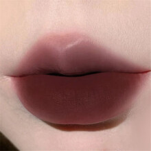 (Type #3) Herorange Paars Gerookte Bloeiende Lip Mud Make-up Kleur Mat Mat Mat