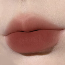 (Type #5) Herorange Paars Gerookte Bloeiende Lip Mud Make-up Kleur Mat Mat Mat