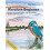 Watercolour for the Absolute Beginner by Matthew Palmer Paperback Book 1