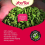 Yogi Tea Organic Alkaline Herbs Tea - 17 x 2.1g 6