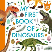 My First Book of Dinosaurs Paperback Book