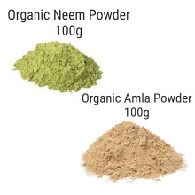 Organic Spice Combo of Neem Leaf Powder 100g and Amla Powder 100g (Dry Hog Plum Powder)