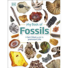 My Book of Fossils A factfilled guide to prehistoric life by DK Hardco