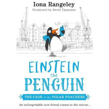 CASE OF POLAREINSTEIN PEN3 PB by Iona Rangeley Paperback Book