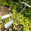 Multifunction Steel Garden Shovel For Precise-Mixed styles 5
