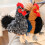 Mit Baumwolle gefülltes Huhn-Plüschtier, weich, waschbar,-01 3