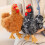 Mit Baumwolle gefülltes Huhn-Plüschtier, weich, waschbar,-01 6