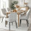 Zephra Dining Chair 1