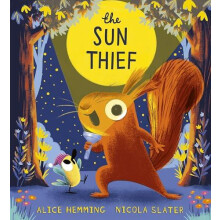 The Sun Thief by Alice Hemming Paperback Book