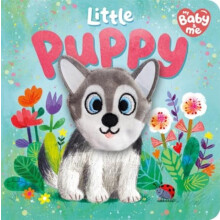 Little Puppy by Igloo Books Ltd Other Book