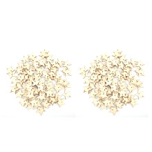 200 pièces, 2 packs, 35 mm, pentagramme à double trou naturel