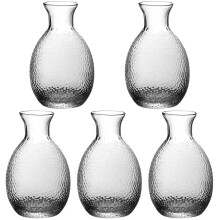 5Pièces Service Sake Verre Clair Traditionnel Japonais Décanteur