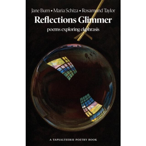 Reflections Glimmer by Rosamund Taylor Paperback Book