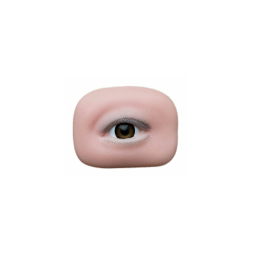 Left/Right Eye Specific Lash Technique Trainer With-left eye