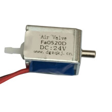 Korrosionsbeständiges elektrisches Mini-Magnettor mit-DC24V