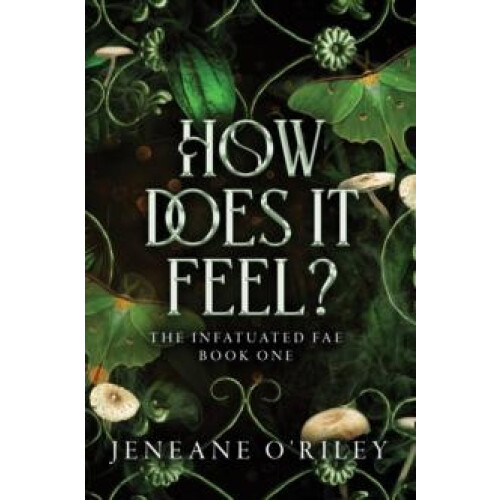 How Does It Feel by Jeneane ORiley Paperback Book