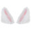 Cute Helmet Accessory: Cat Ears Pair 1
