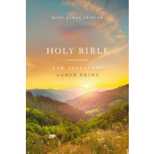 KJV Large Print Outreach New Testament Bible Scenic Softcover Comfort