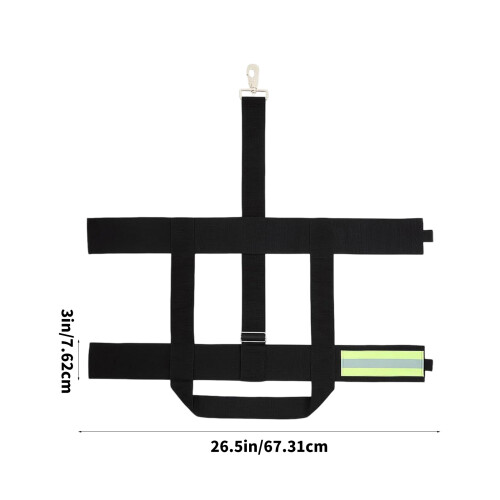 Sangle de transport ergonomique pour extincteurs supportant 2