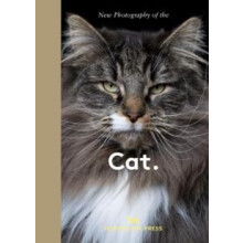 New Photography of the Cat. by Hoxton Mini Press Hardcover Book