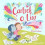 Cartref o Liw by Miriam Latimer Paperback Book 1