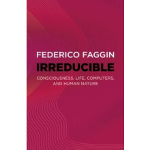 Irreducible by Federico Faggin Paperback Book