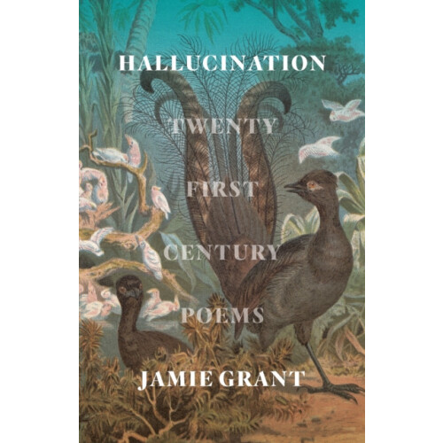 Hallucination by Jamie Grant Paperback Book
