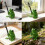 3D Printed Pen Holders Stand Pencil Cup Stylish Desk Accessory 5