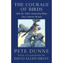 The Courage of Birds And the Often Surprising Ways They Survive Winter