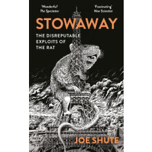 Stowaway by Joe Shute Paperback Book