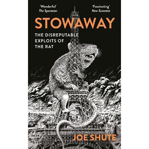 Stowaway by Joe Shute Paperback Book