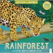 Rainforest Paperback Book