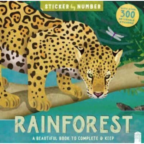Rainforest Paperback Book